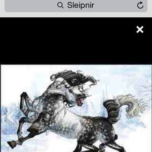 Meet your Posher, Ragna